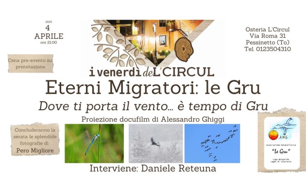 4 aprile 2025 - ETERNI MIGRATORI: Le Gru, con Ilmen Gavassa